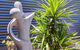 The Sanctuary Studio - thumb 6