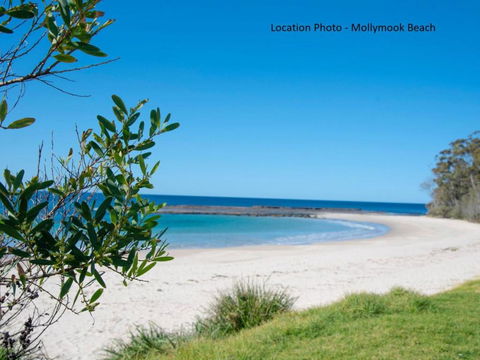 Tallwood Ave 77 Mollymook - Hotel VIC 3