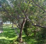 36 Bay Parklands 2 Gowrie Avenue close to the water with pool  spa  tennis court - Hotel VIC