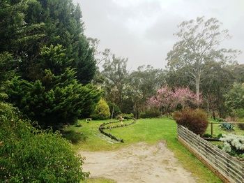 Acacia House Retreat Daylesford - Hotel VIC 1