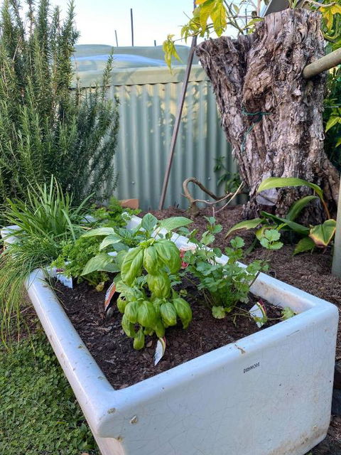 A Drop In The Ocean Kingscliff - Hotel VIC 5