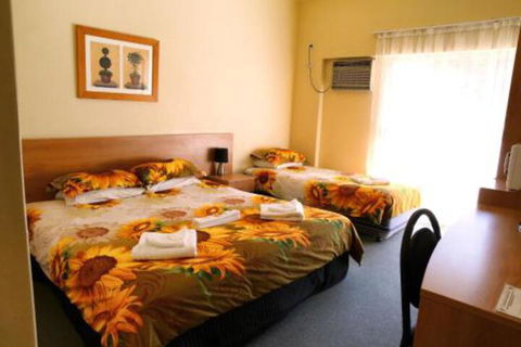 Blue Mountain Motel - Hotel VIC 0