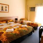 Blue Mountain Motel - Hotel VIC 1