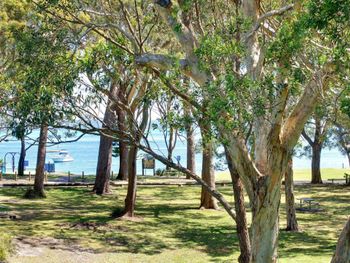 Nicholli Bay Parklands Unit 32 2 Gowrie Avenue - Hotel VIC 3