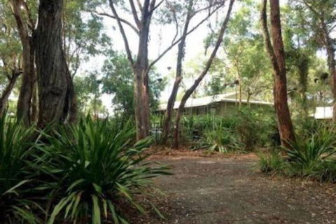 Port Stephens Koala Sanctuary - Hotel VIC 2