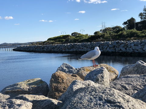 Albany Foreshore Guest House - Hotel VIC 3