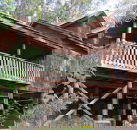 Barrington Wilderness Cedar Lodge Accommodation - Hotel VIC