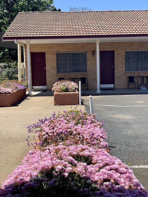 Gilgandra Motel - Hotel VIC 6