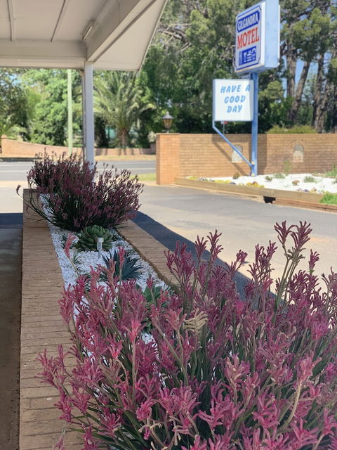 Gilgandra Motel - Hotel VIC 1