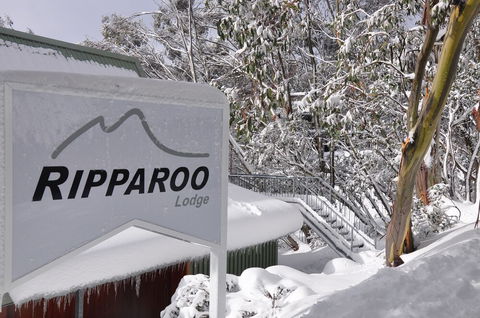 Ripparoo Ski Lodge - Hotel VIC 1