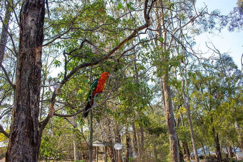 Kalimna Woods Cottages - Hotel VIC 2