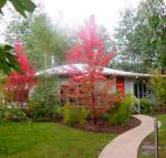 Dalrymples Guest Cottages - Hotel VIC