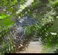 Montagues of Montville - Hotel VIC