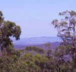 Ravensbourne Escape Cedar Lodge - Hotel VIC