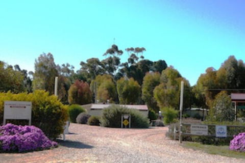 Gladstone Caravan Park - South Australia - Hotel VIC 0