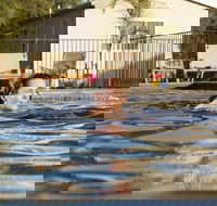 Riverside Cabin Park - Hotel VIC