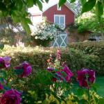 A Country Barn Retreat - Hotel VIC 0