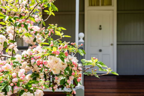 Apple Blossom Cottage - Hotel VIC 0
