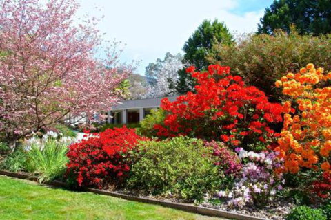 Grevillea Gardens Apartments - Hotel VIC 7