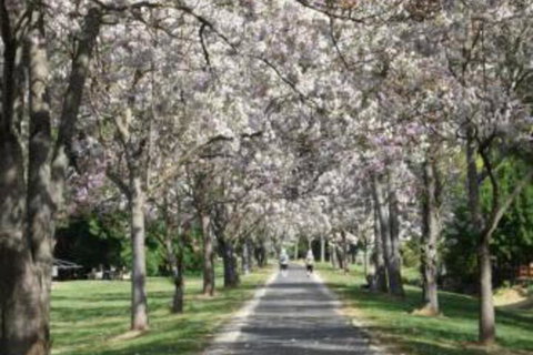 Grevillea Gardens Apartments - Hotel VIC 5