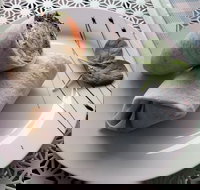 Cafe Lazat - Hotel VIC