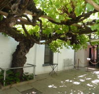 The Vine - Hotel VIC