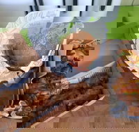 Hello Harry - Hotel VIC