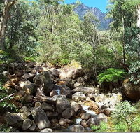 Star Chinese Restaurant - Hotel VIC