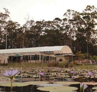 Abundance Cafe and Garden Centre - Hotel VIC