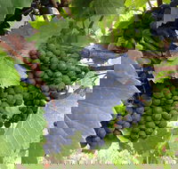Marcus Hill Vineyard - Hotel VIC