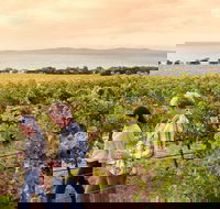 Boston Bay Wines - Hotel VIC