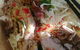 Tien Giang Quan Vietnamese - thumb 0
