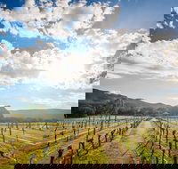 Fallen Giants Vineyard - Hotel VIC