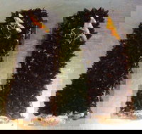 A Treat of France - Carlton North - Hotel VIC