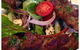 Manee Siam Thai Restaurant - thumb 0