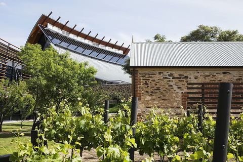 National Wine Centre Of Australia Tour And Tasting Experiences - Hotel VIC 0