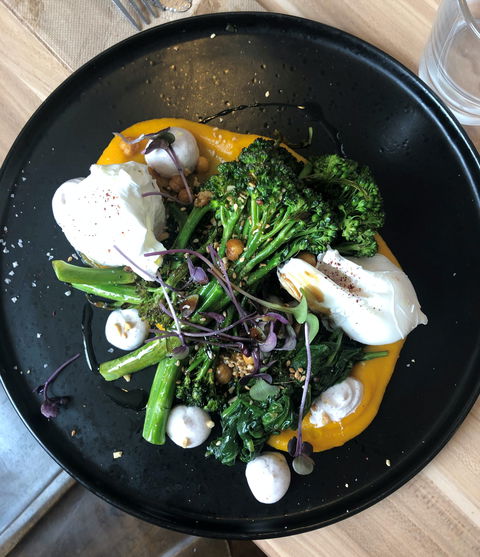 Queenscliff General Store - Hotel VIC 0