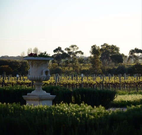 Angas Plains Wines Cellar Door - Hotel VIC 1