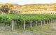Guneemooroo Estate - thumb 2