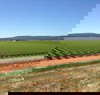 Melange Wines - Hotel VIC