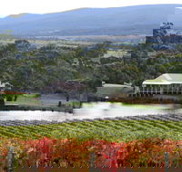 Milton Vineyard - Hotel VIC