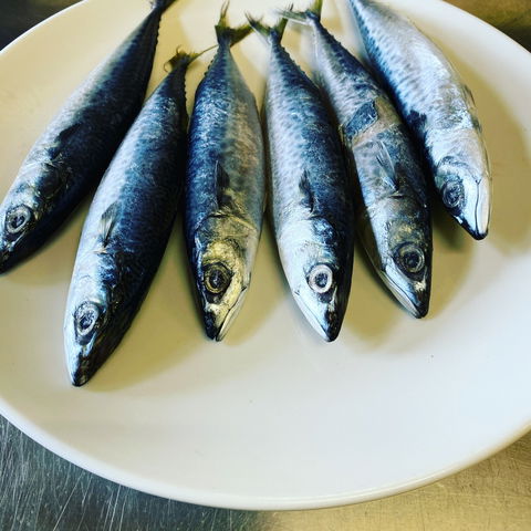 Miriams Restaurant - Hotel VIC 2