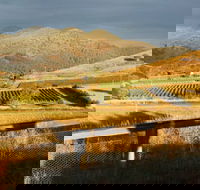 Optimiste Wines - Hotel VIC