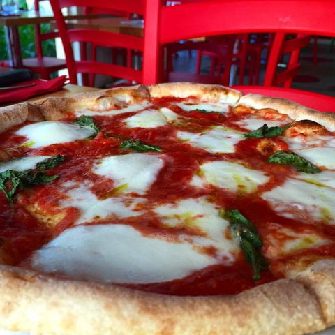 Rosso Pomodoro - Balmain - Hotel VIC 0