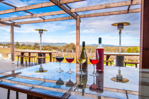 David Franz - Hotel VIC 2