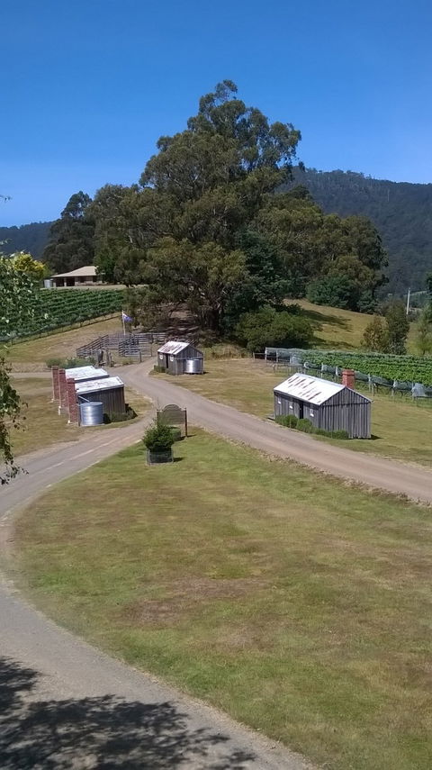 Hartzview Vineyard Cafe - Hotel VIC 6