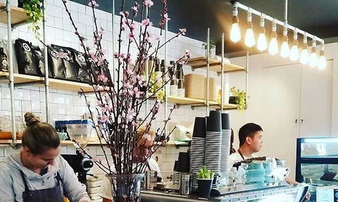 Blackbird & Co - Hotel VIC 18