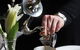 Quorum Restaurant - thumb 24