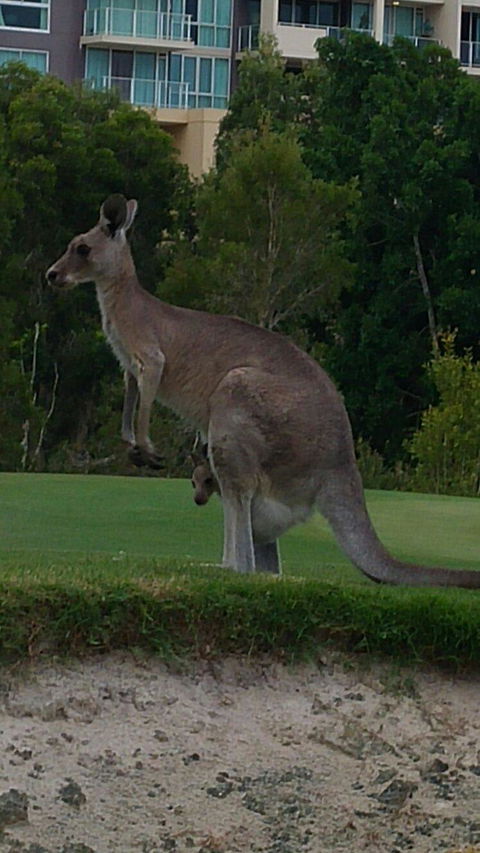 T On Course - Hotel VIC 6