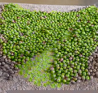 Wattle Hill Olives - Hotel VIC